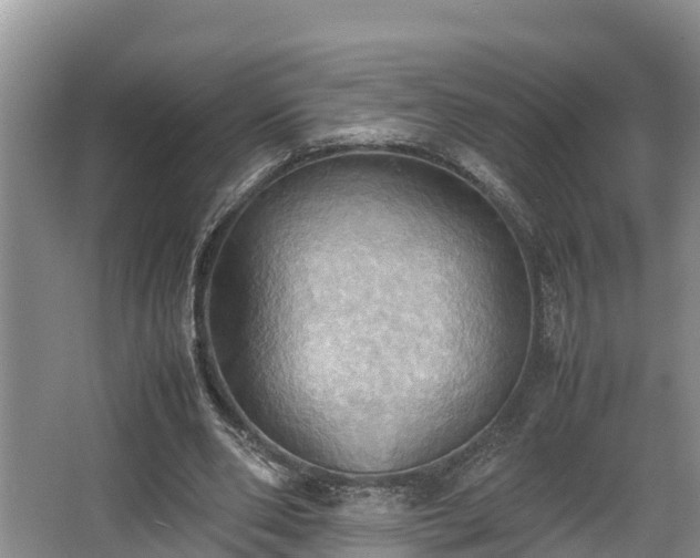 X0000064040486200602031601