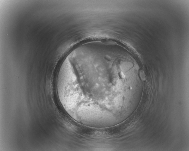 X0000064040487200602031601