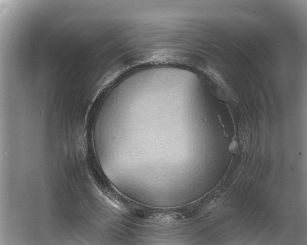 X0000064040488200602031601