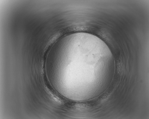 X0000064040490200602031601