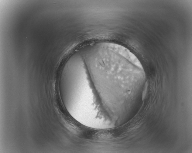 X0000064040491200602031601