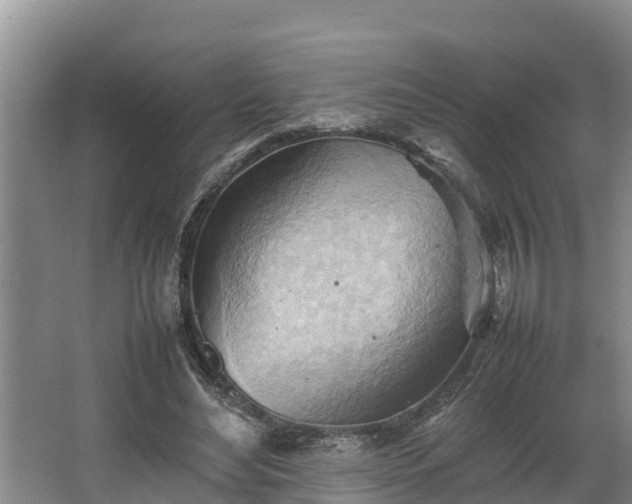 X0000064040492200602031601