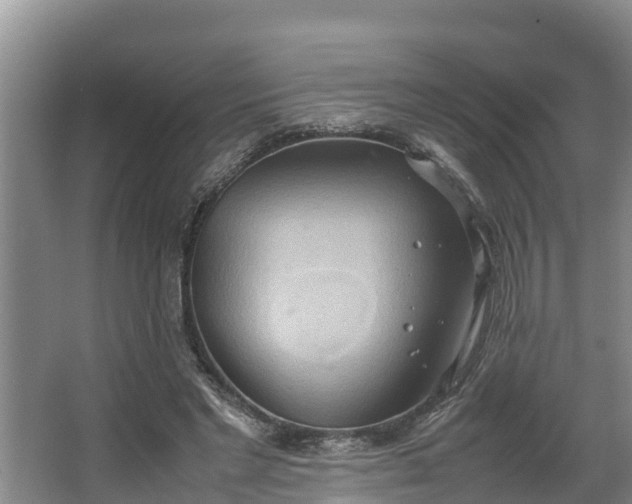 X0000064040493200602031601