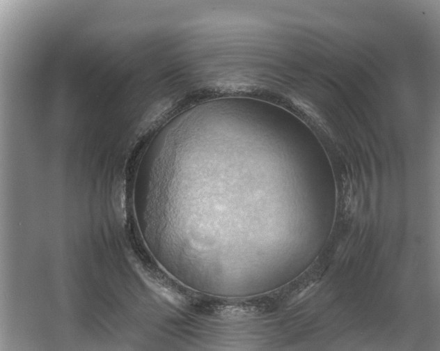 X0000064040494200602031601