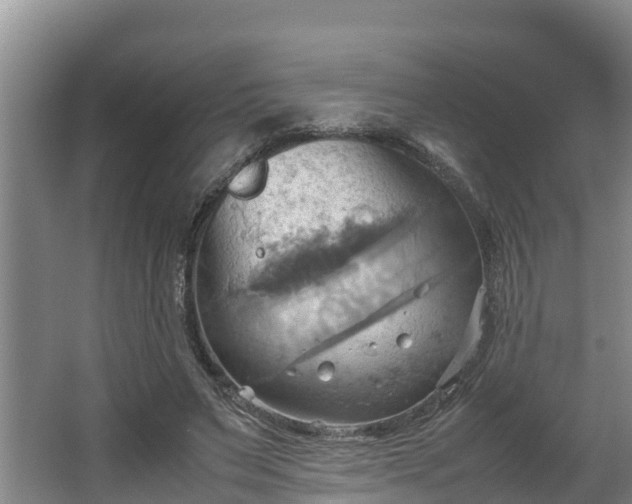 X0000064040495200602031601