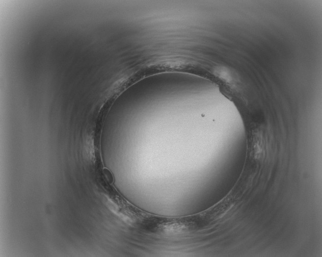 X0000064040500200602031601