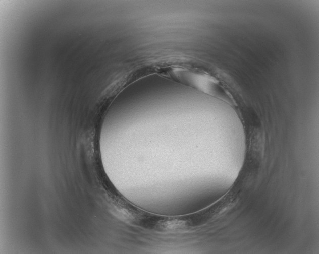 X0000064040501200602031601