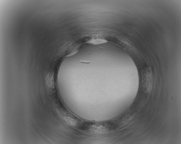 X0000064040502200602031601