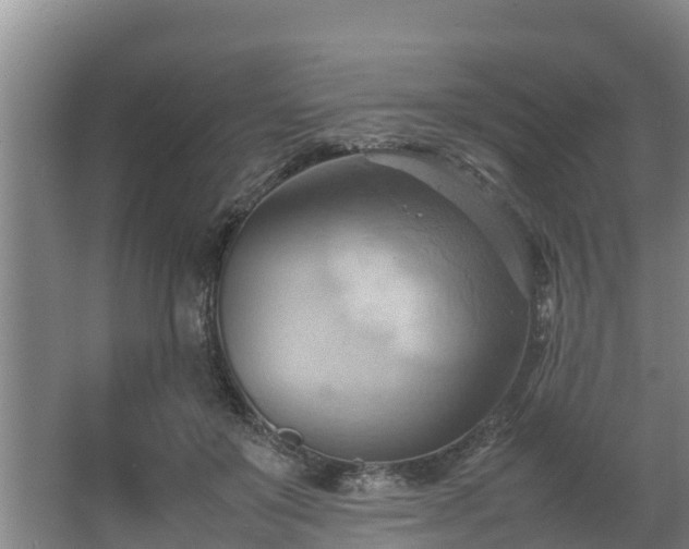 X0000064040503200602031601