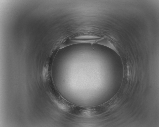 X0000064040504200602031601