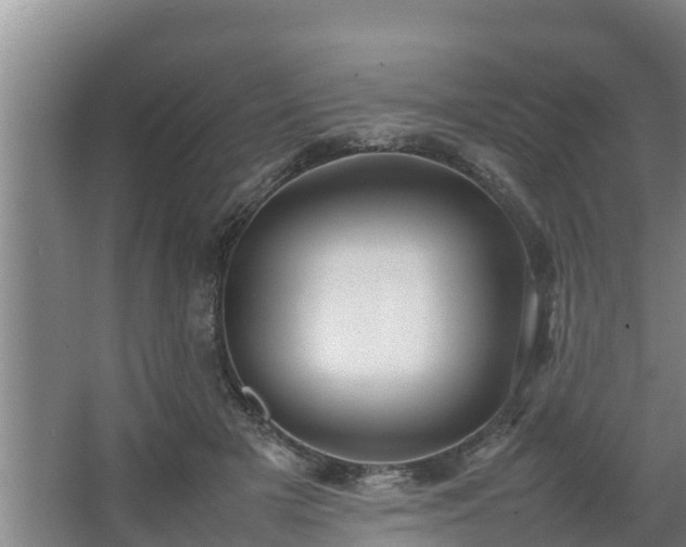 X0000064040505200602031601