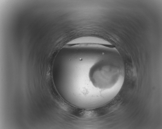 X0000064040507200602031601