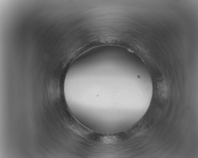 X0000064040508200602031601