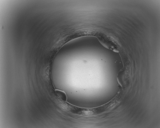 X0000064040509200602031601