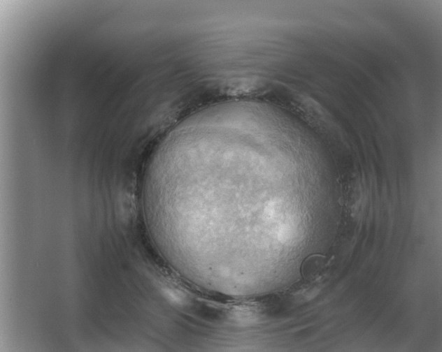 X0000064040510200602031601