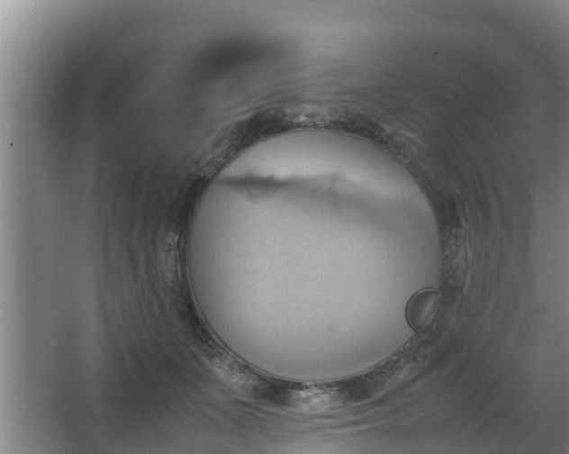 X0000064040511200602031601