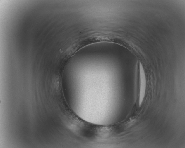 X0000064040513200602031601