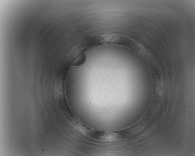 X0000064040514200602031601