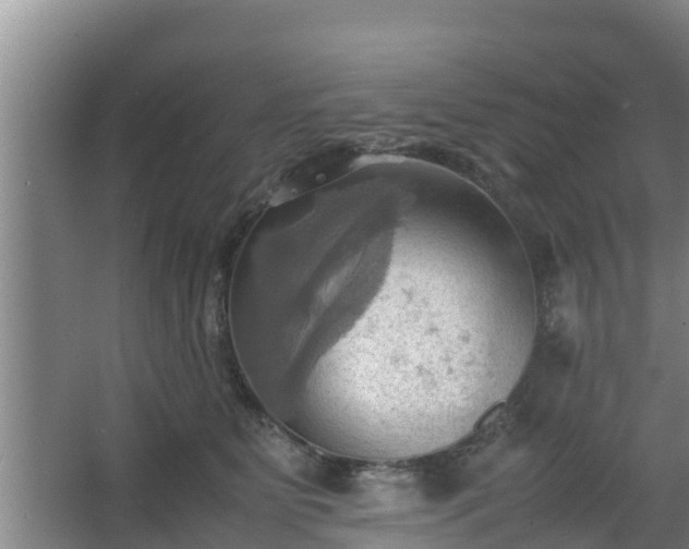 X0000064040515200602031601