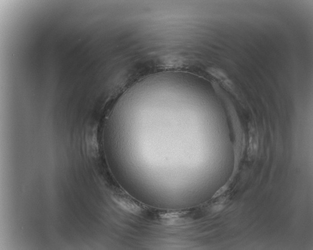 X0000064040516200602031601