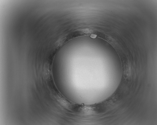 X0000064040518200602031601