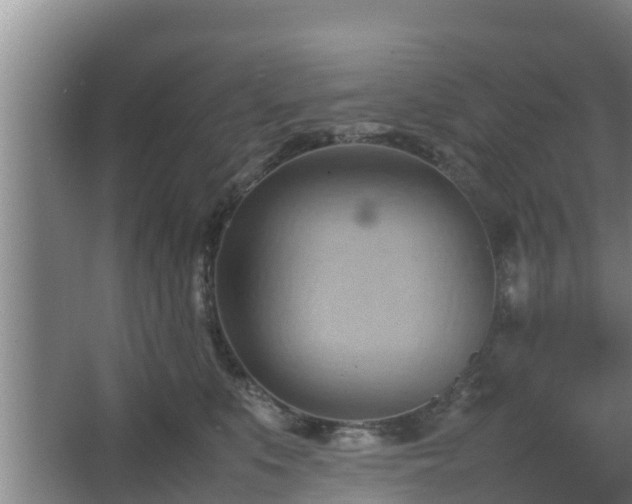 X0000064040519200602031601