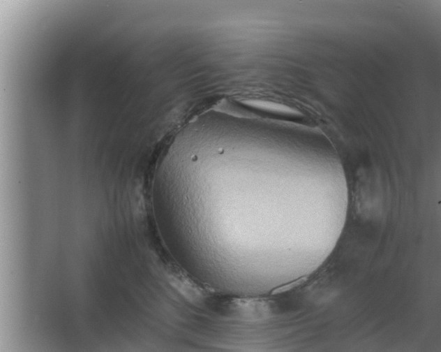 X0000064040520200602031601