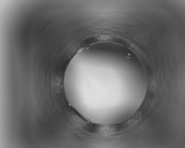 X0000064040521200602031601