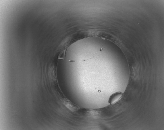 X0000064040522200602031601