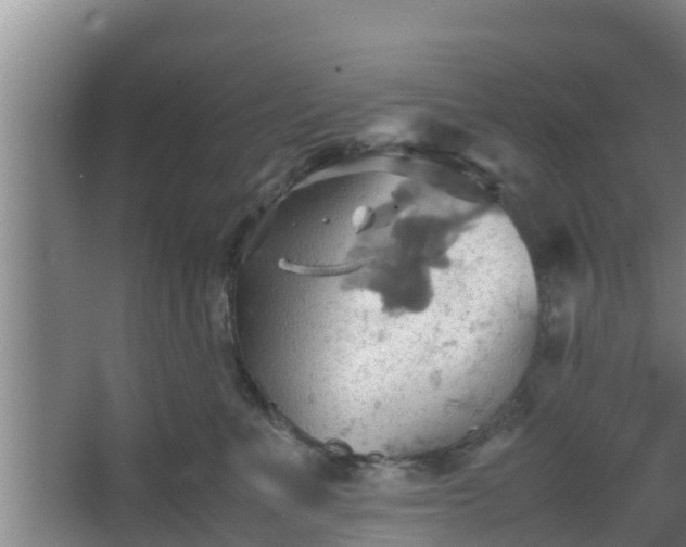 X0000064040523200602031601