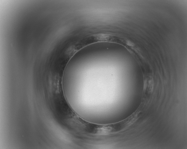 X0000064040525200602031601