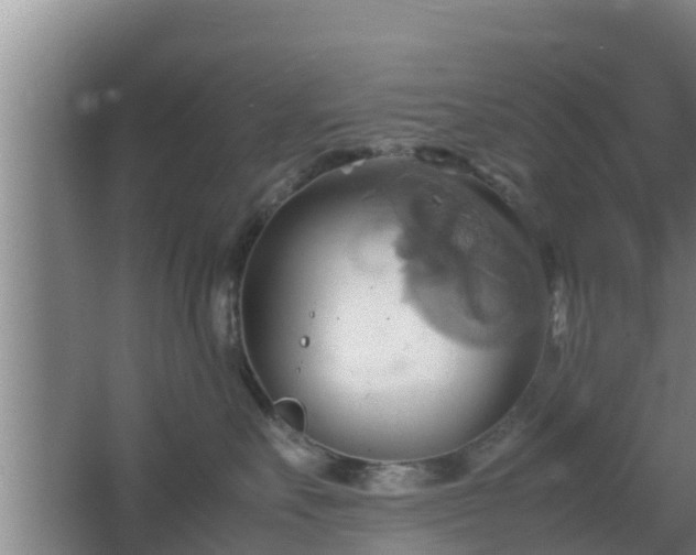 X0000064040527200602031601