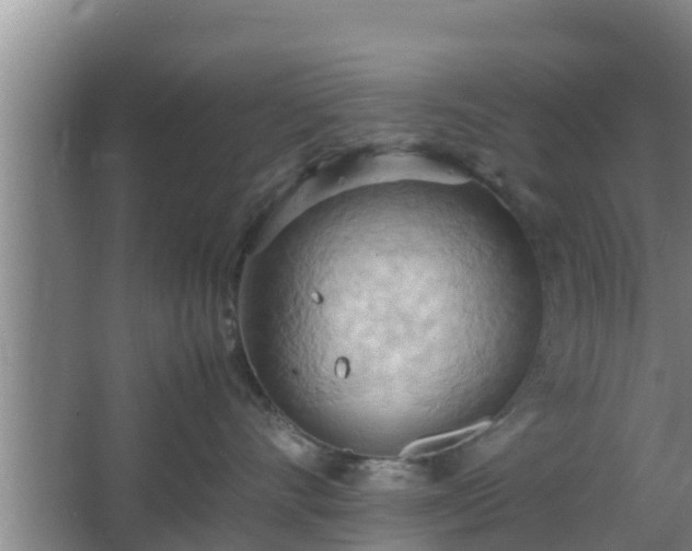 X0000064040528200602031601