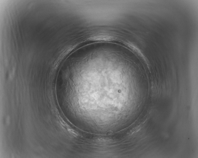 X0000064040529200602031600