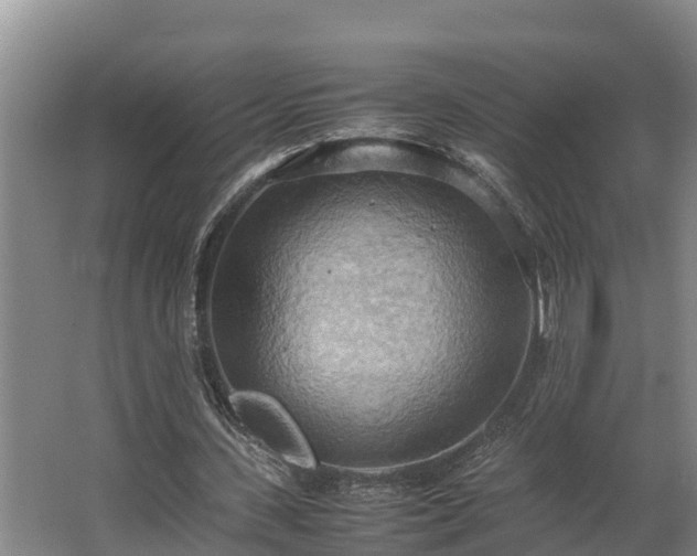 X0000064040531200602031600