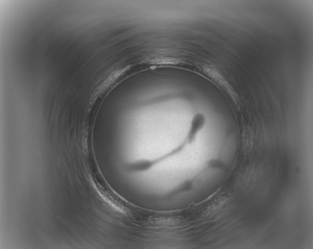 X0000064040533200602031600