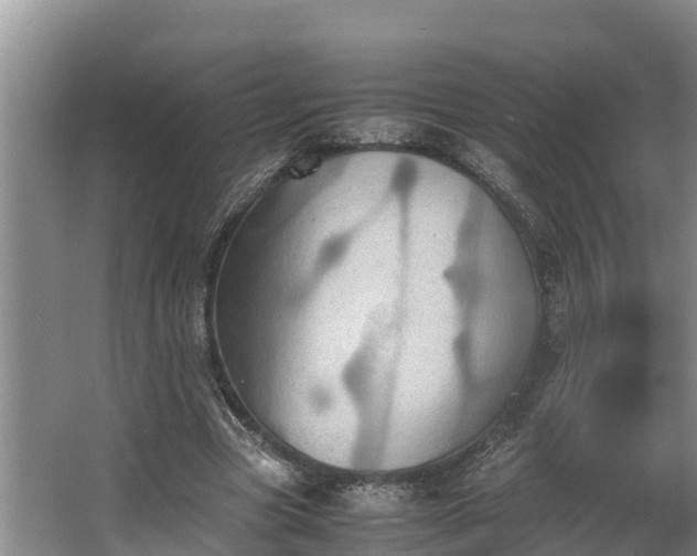 X0000064040537200602031600