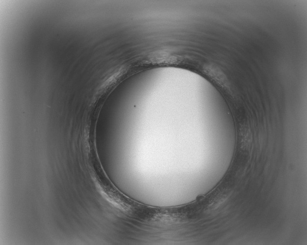 X0000064040538200602031600