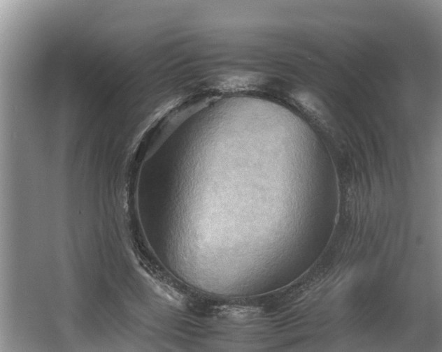 X0000064040539200602031600