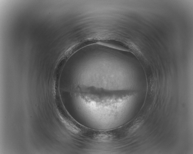 X0000064040542200602031600