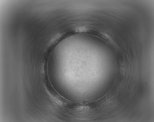 X0000064040543200602031600