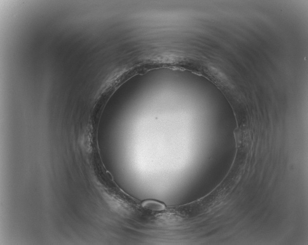 X0000064040544200602031600