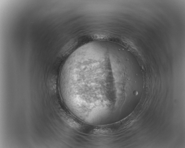 X0000064040545200602031600