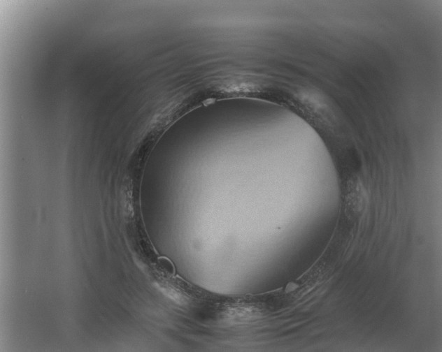 X0000064040547200602031600