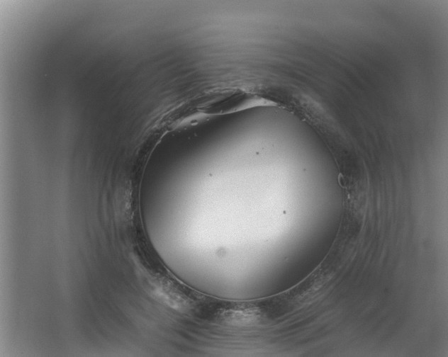 X0000064040548200602031600