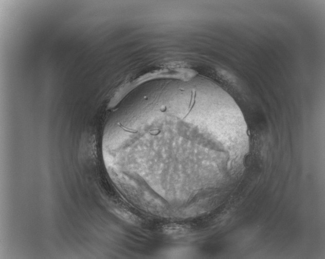 X0000064040549200602031600