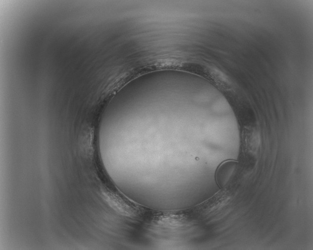 X0000064040550200602031600