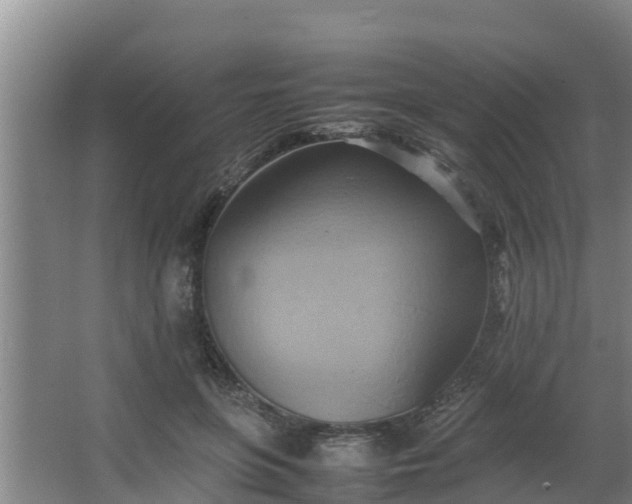 X0000064040551200602031600