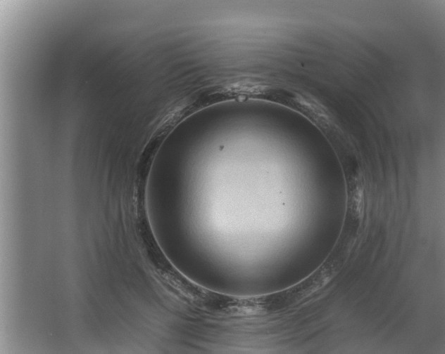 X0000064040552200602031600