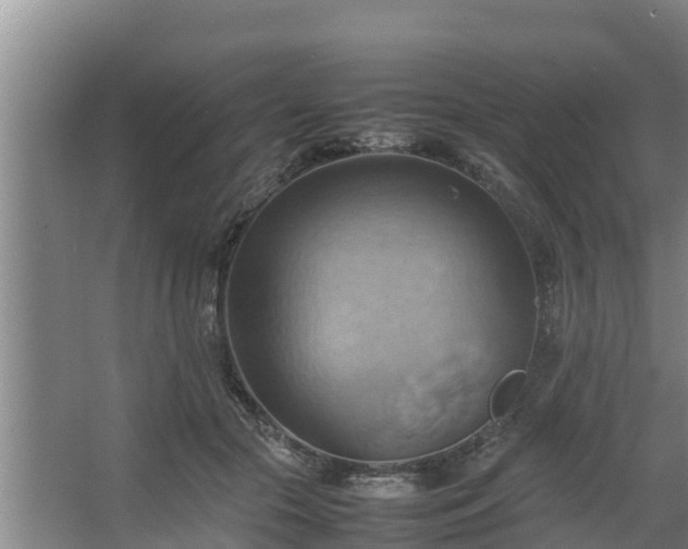 X0000064040553200602031600